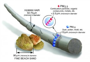 【轉載】 查了多篇科學文獻，給你一份PM2.5知識圖譜